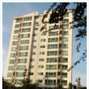 신일아파트 삼거리 이미지