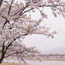 용지정류소 이미지