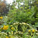 봉래농장 이미지