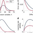 OPTIMAL NATURE 이미지
