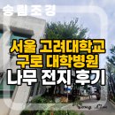 서울큰나무병원 | 서울 고려대학교 구로 대학병원 나무 전지 후기
