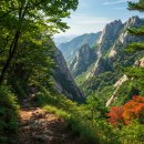 옷만들기 초중급 | 치악산 등산코스 Best 5! 초보 계곡 트레킹부터 단풍 비로봉까지 완벽 가이드