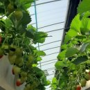 사갑1길 이미지