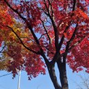 GS25 계림푸른길점 이미지