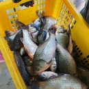 신가리낚시터 이미지