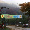 영진상사 - 중구 중구로 141 | 영진상사