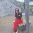 나라시 박을 아는가 이미지
