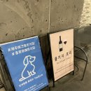 [애견동반흑돼지맛집] 중문 모메든식당 왕추천 후기