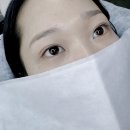 [서울 금천구 : 더썬태닝&amp;속눈썹 속눈썹 펌 솔직 후기]