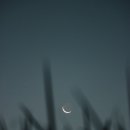 상현달 티스토리