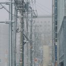 (주)고려여행 이미지