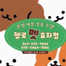 헬로펫 효자점 네이버블로그