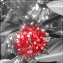 여미지식물원 이미지