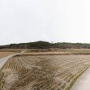 대한 태양광발전소 이미지