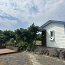 함덕달자게스트하우스그리고펜션 이미지