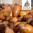 파파농수산 | 봄 제철 별미, 미더덕회 제대로 즐기는 방법 🌸👄