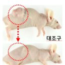 수산대장