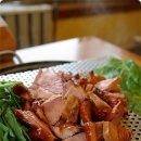 토성오리
