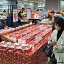 롯데마트 이미지