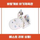 바람개비어린이집 | 바람개비 아기체육관 추천 리뷰