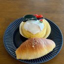 담양을담다 | 담양 대형카페 담다 베이커리 맛집 뷰 좋은 힐링 카페 추천