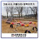 대륙체육산업 이미지