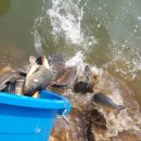 월곡낚시터 이미지