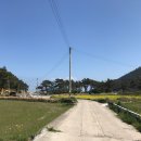 청산도13월펜션 이미지