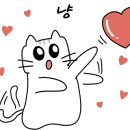 야간요가 이미지