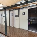 미산애견 이미지