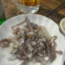 [진해 남문동 맛집]남문동 횟집 회포 회센터 내돈내산 방문후기