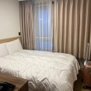[제주 가성비 숙소] 케니스테이 제주 서귀포 호텔 스탠다드더블 주말 1박 2만원대