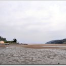 신흥민박 이미지