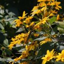 한결농장 이미지