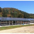 가온태양광 이미지