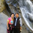 경보사