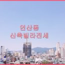 The우정공인중개사사무소 이미지