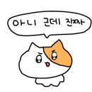 육주간