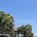 섬심카닥터 | [오키나와 북부 리조트 추천] 오키나와 하얏트 리젠시 세라가키 아일랜드 리조트 후기