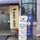 둥글댕둥글댕 | [인천] 반려동물호텔 '둥글댕 둥글댕' ｜인천 반려동물 호텔&amp;유치원 후기