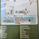 ​[양평 가볼만한곳] 황금빛 우리밀의 모든 것, 2026 양평 밀축제 정보 및 알찬 체험 후기 🌾✨