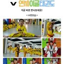 이글태권도 이미지