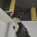 진성크리닝 | [모두의공기] [전열교환기+환기배관청소] [경기도 고양시 덕양구 창릉호반써밋] 청소 후기