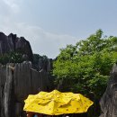석림조경