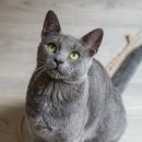 미소메디컬센터 이미지