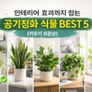 정화종합인테리어