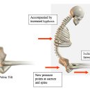 R1 운동과학센터 이미지