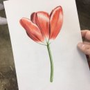 보테니컬 아트 이미지