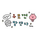 코지 클래식 케이크