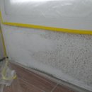 세영바이오 이미지